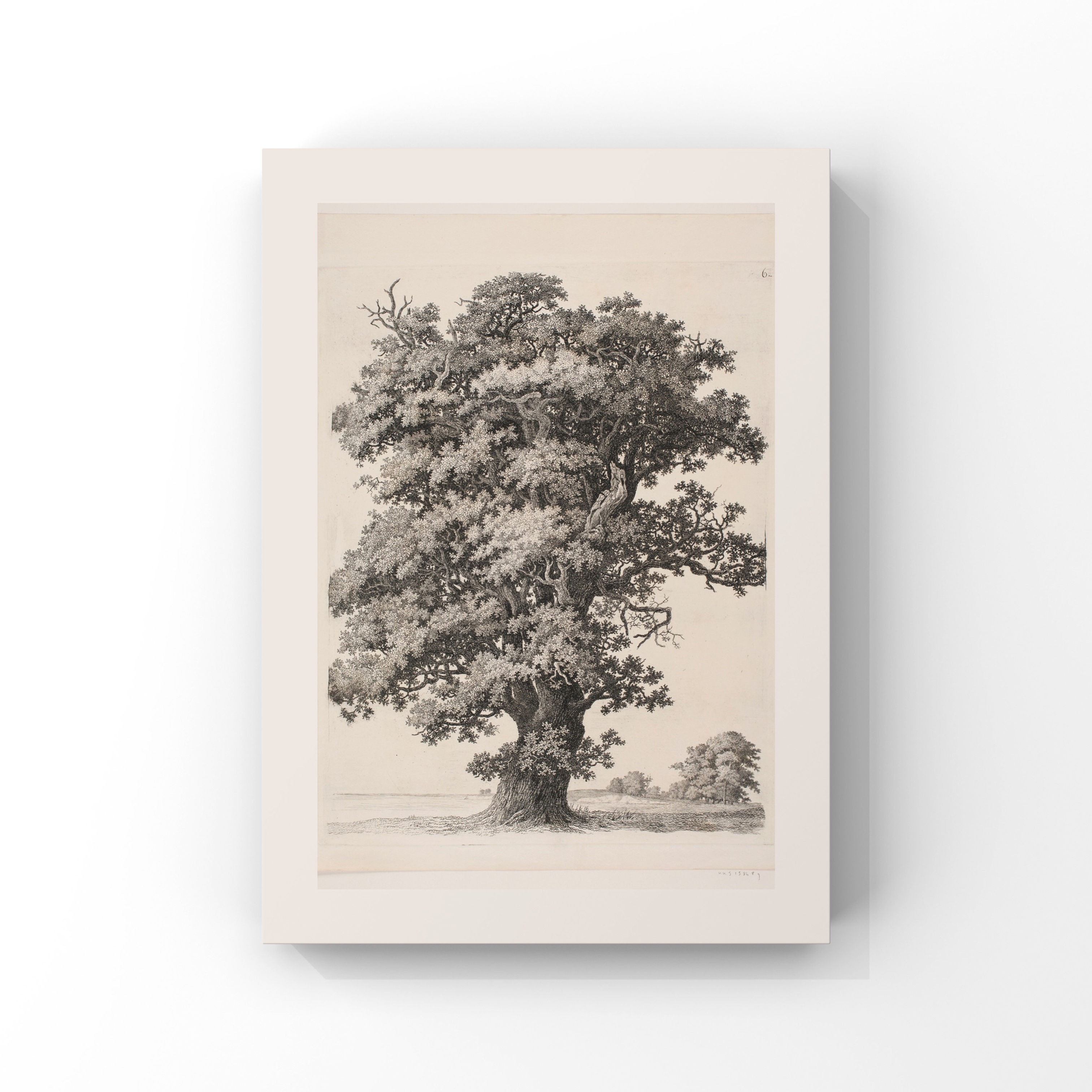 Vintage Doğa Manzaraları No.2 Poster Tablo ürün görseli