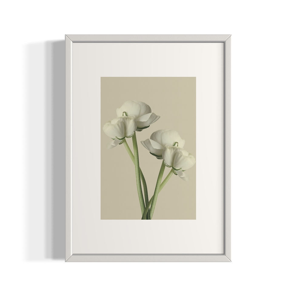 Küçük resim: "White Flower" No.2 Poster Tablo