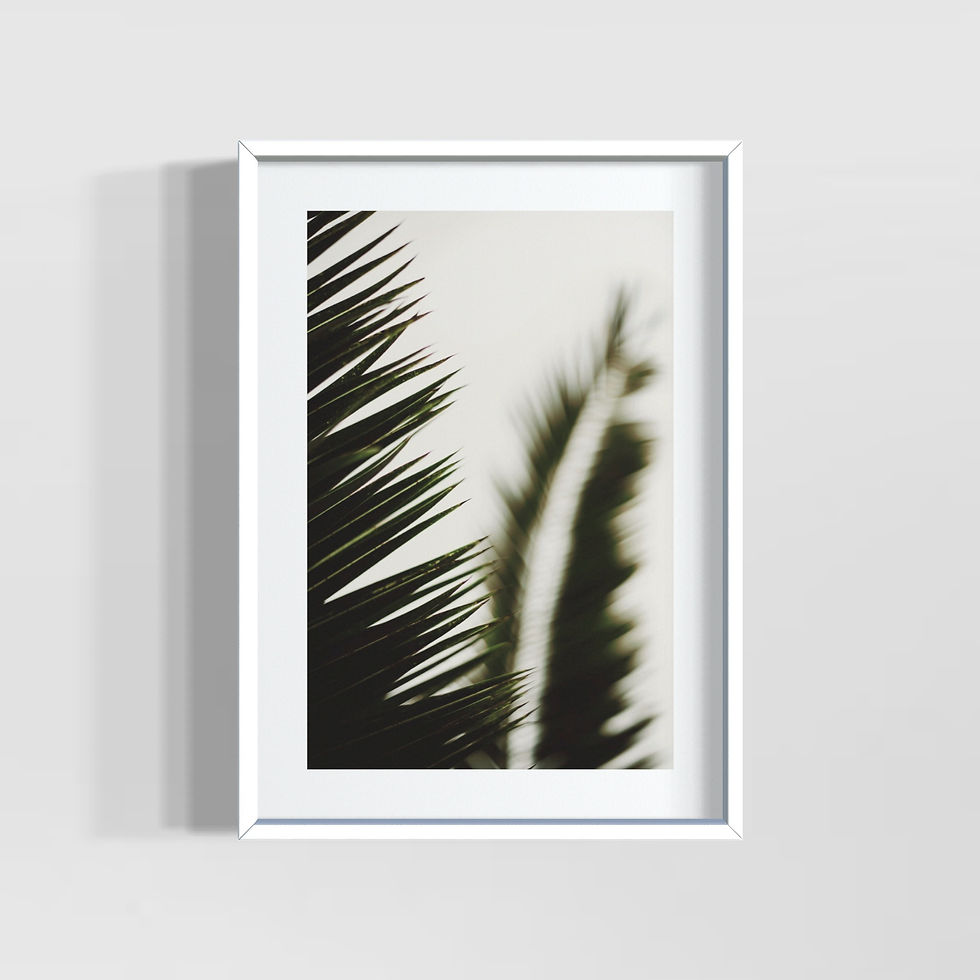 Küçük resim: "Palm" 2'li Poster Tablo Seti