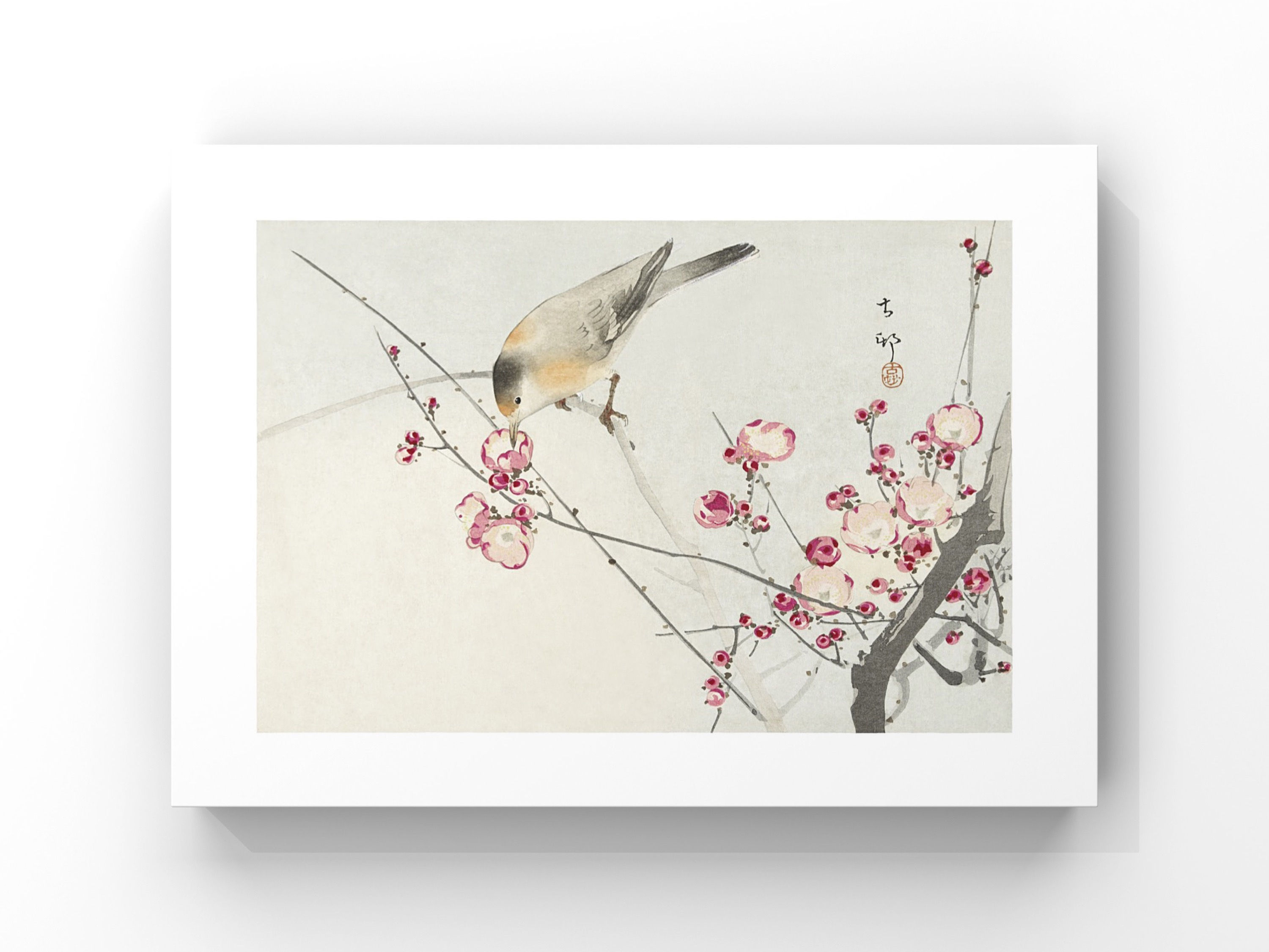 Ohara Koson - Songbird on Blossom Branch Poster Tablo