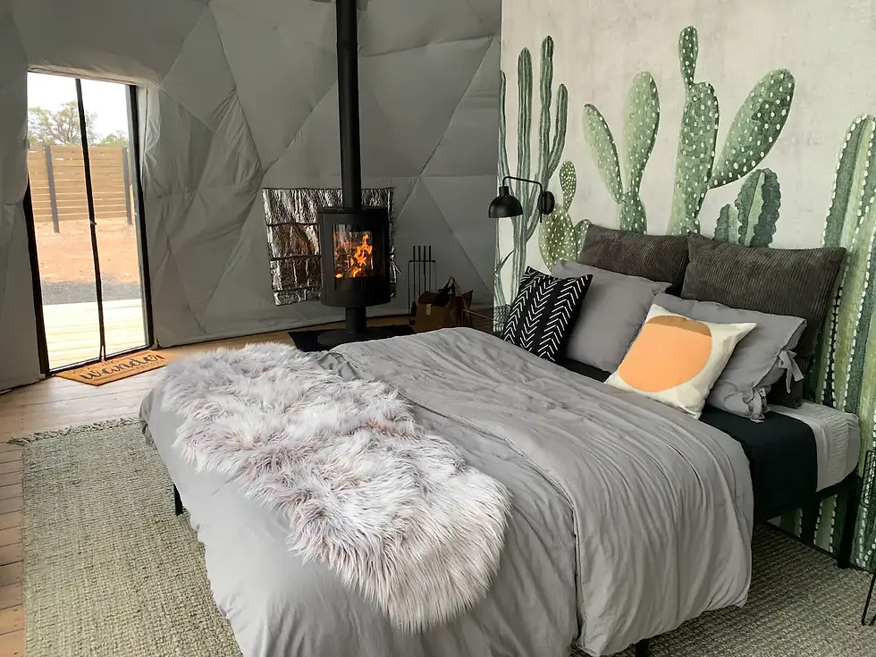 Main Floor Bed and Fireplace