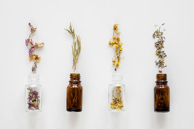 5-top-view-of-natural-medicinal-herbs-in-bottles.jpg