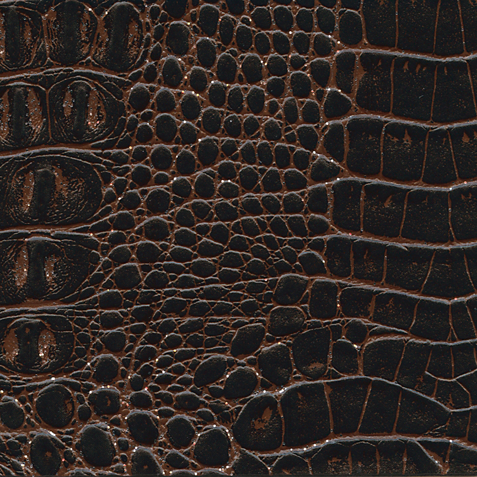 ALBUM DIGITAL,mostra_59