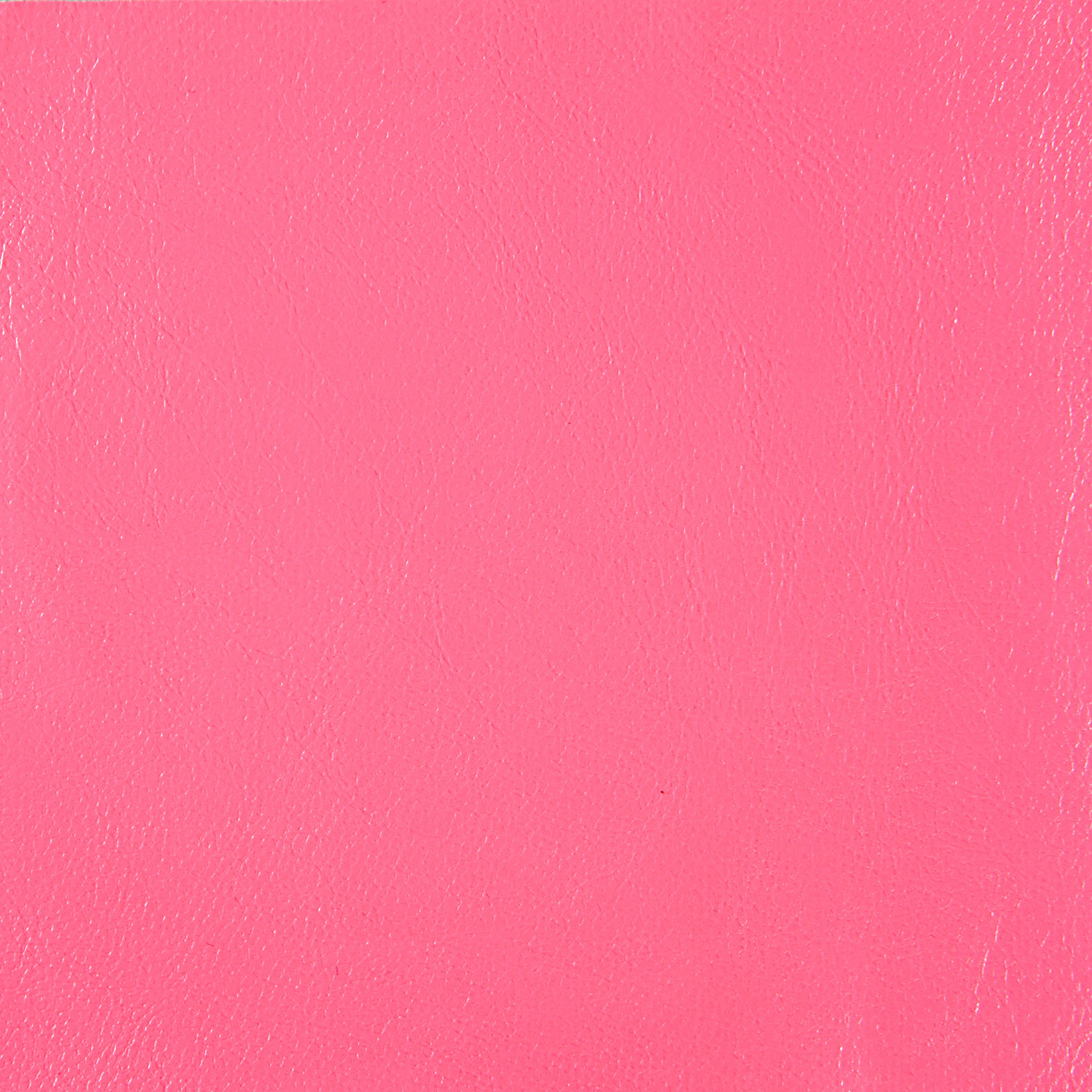ALBUM DIGITAL,mostra_43