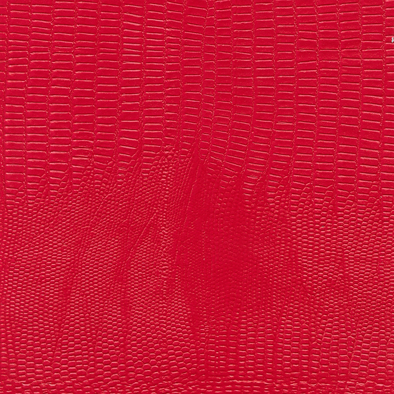 ALBUM DIGITAL,mostra_66