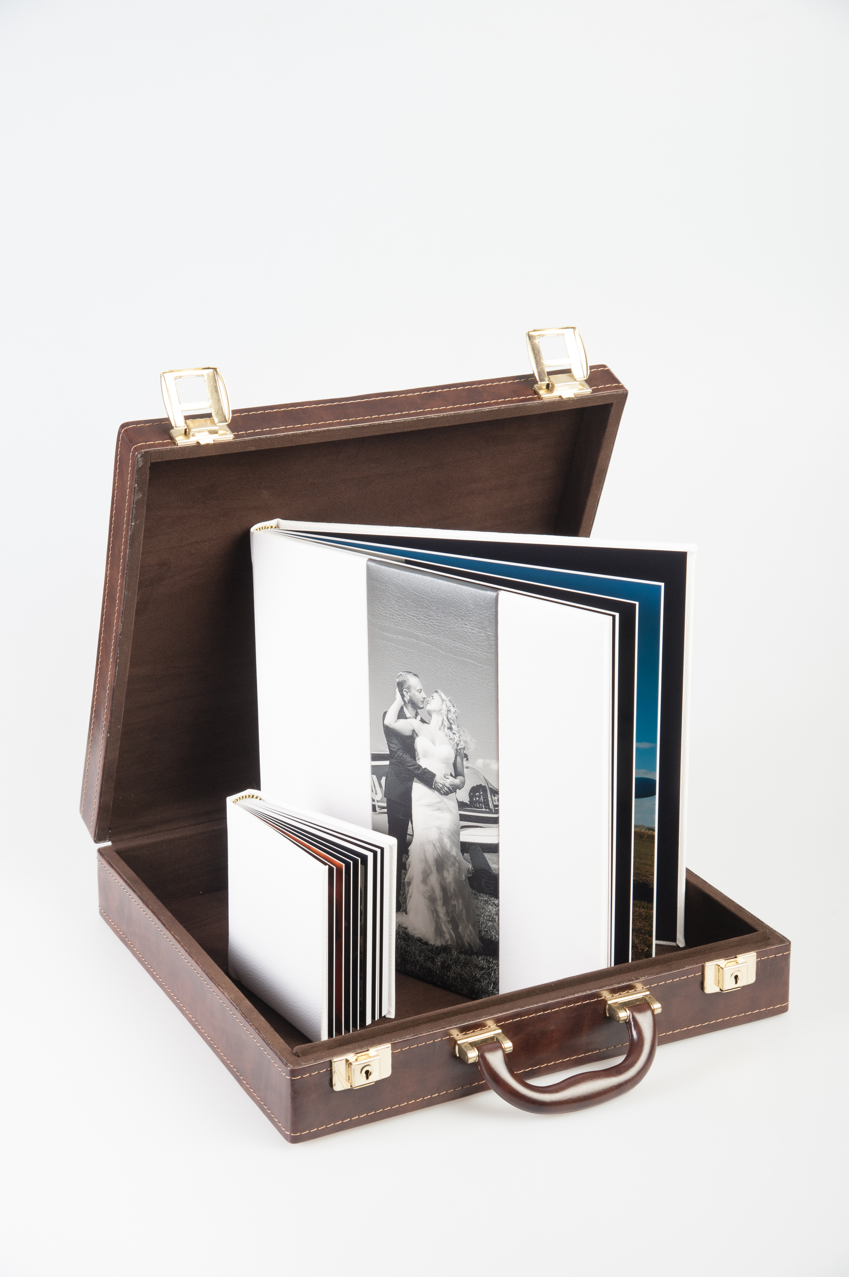 GEANTA ALBUME FOTO
