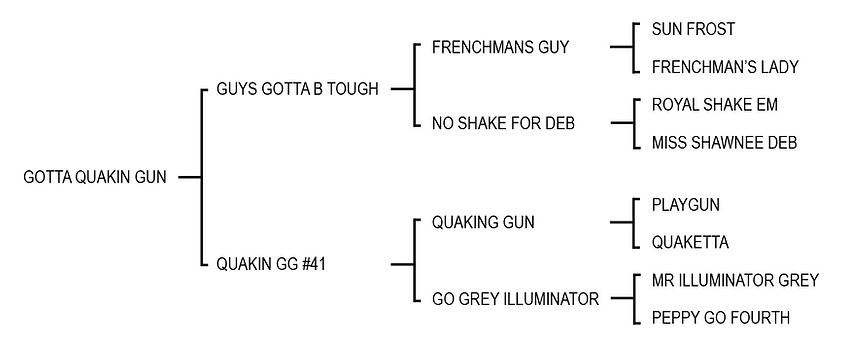 06gottaquakingun.jpg