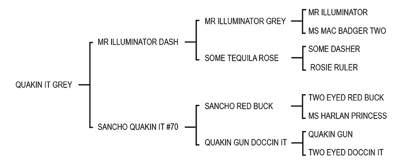 01quakinitgrey.jpg