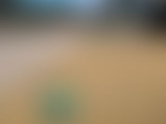 Mike Derby re-election signs