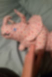 Peach Calico Triceratops Stuffed Animal