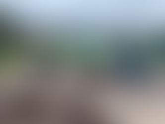 4th Annual Rapid City Clean Up Day