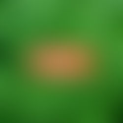 Unity Rd. Hartford Grand Opening