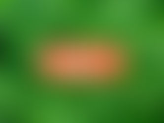 Unity Rd. Hartford Grand Opening