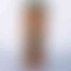 קרדיט תמונה: רוני כנעני