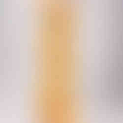 קרדיט תמונה: נדב הובר