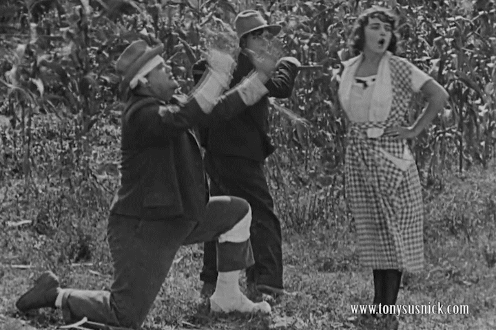 Buster Keaton Scarecrow
