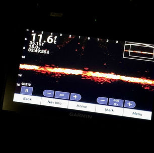 Exploring the Advantages of Live Sonar for Ice Fishing