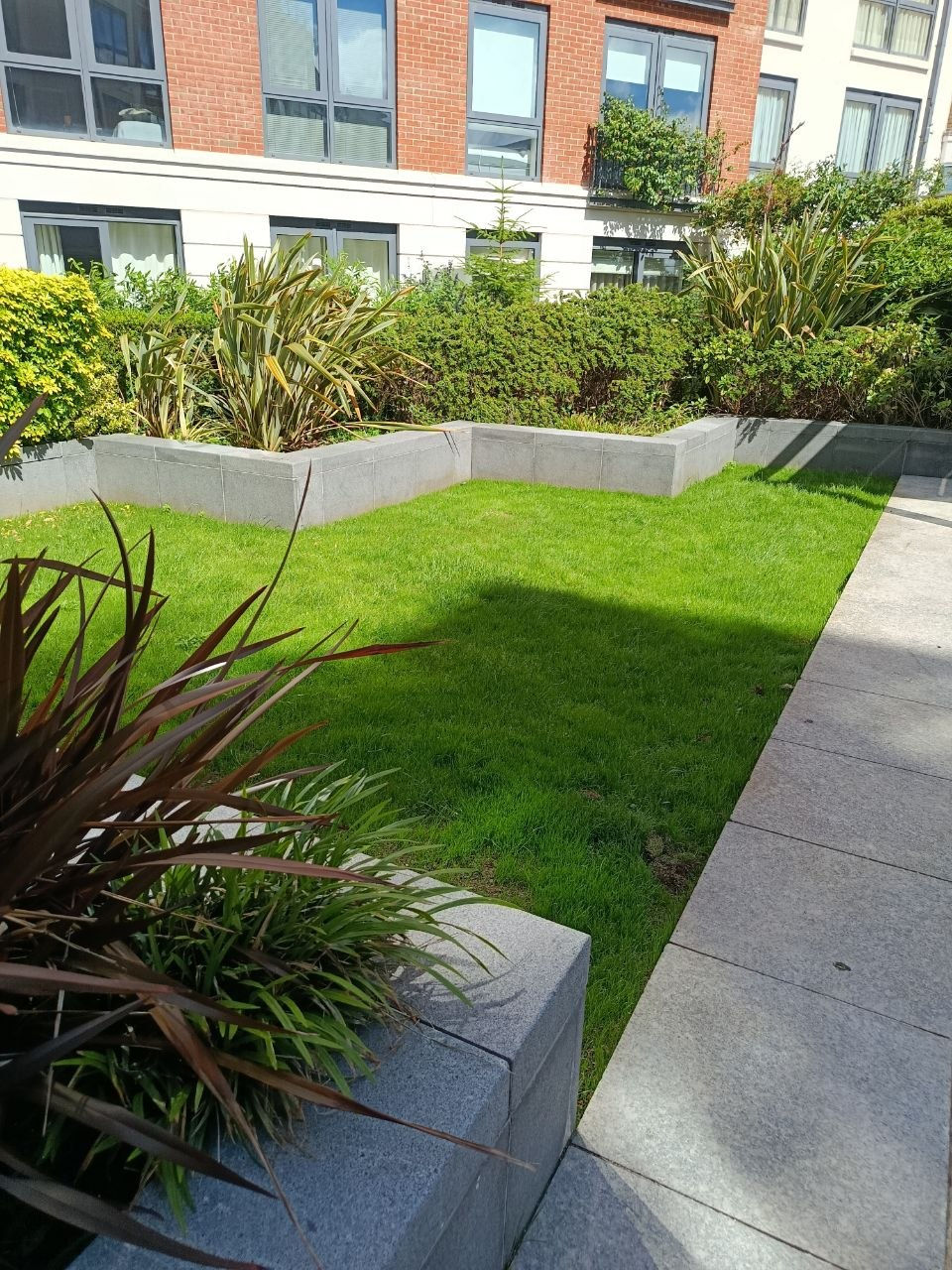 Transform Your Lawn in Just 3 Weeks with Professional Irrigation