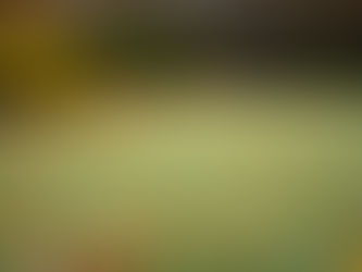 Step-by-Step Guide: How to Winterise Your Irrigation System in the UK