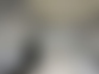 AccessAbilities Expo