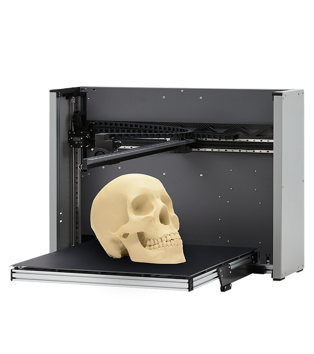 bone2.png