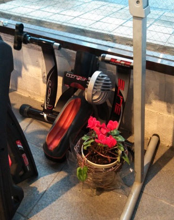 この手の商品もシンプルに参りましょう