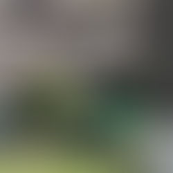 『BTサタデーライドフィーバー』