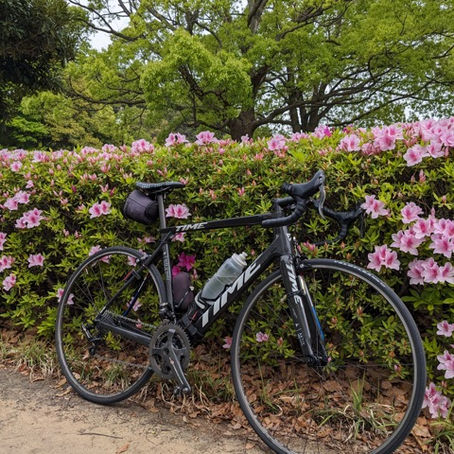 面白過ぎる営業メールが届きました。