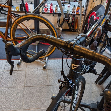 今回は根元まで