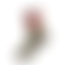 今なら入手可能デス