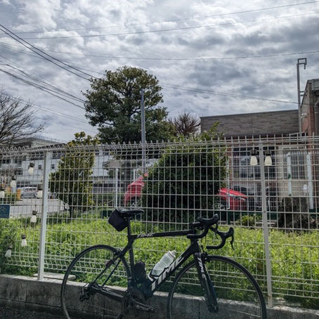 予想外の好天に　有難や！