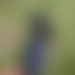 こんな感触にも季節を実感しました。