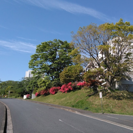 サタデー・ライド・フィーバー