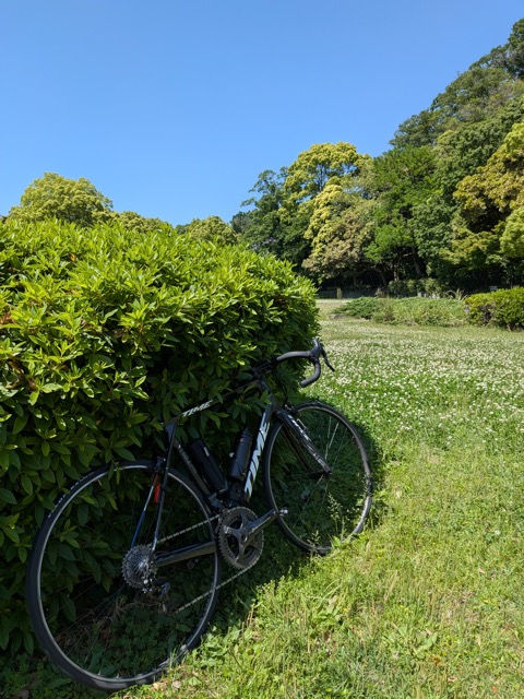 来てしまった、ついのこの日が。。