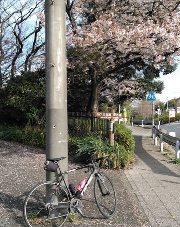 やっぱり今日は特別な日