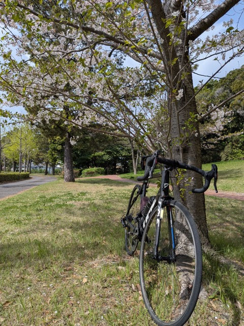 明日はやります、BSRF