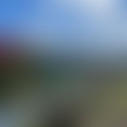 バランス　なんでしょうね