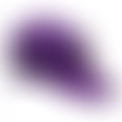 上から下まで CIAO