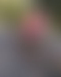 良く効く モーニングライド