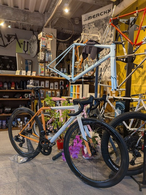 COLNAGO STEELNOVO 試乗車とフレームセット、２色展示中