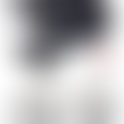 どんな動きなのか?見たいですねぇ〜