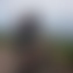 明日14(金)からお休みします。