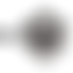 GARMIN Rally XC200/100