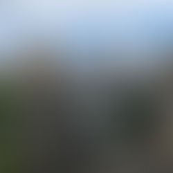 明日もやります！BSRF