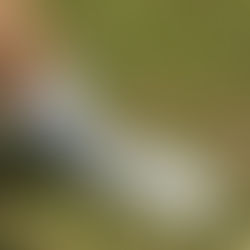 真骨頂ここに有り SIDI SHOT 2S。