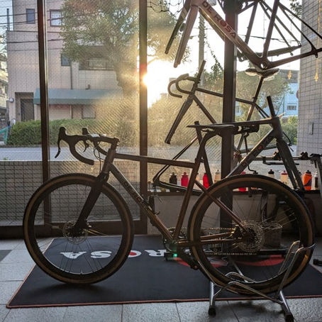 朝日もまた、良いじゃないですかぁ