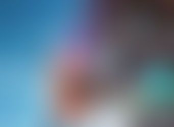 矢継ぎ早 フィジークシューズ