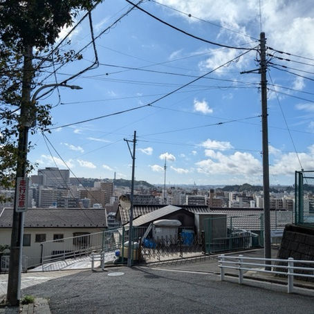 どうかな？と思いましたが今朝も集まりました。