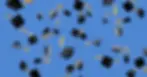 Why Do We Throw Graduation Caps.webp