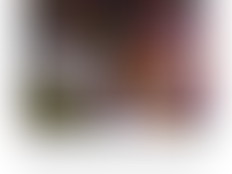 Péndulo Político (12/8/2024)